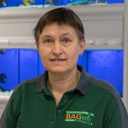 Karin Barbu